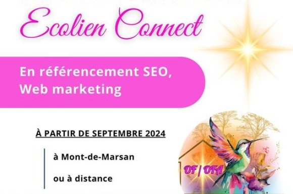 Stage référencement SEO - Webmarketing en distanciel 