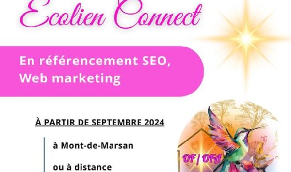 Stage référencement SEO - Webmarketing en distanciel 